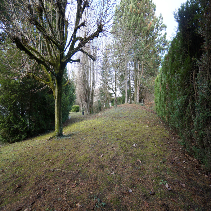 Offres de vente Terrain Lissieu (69380)